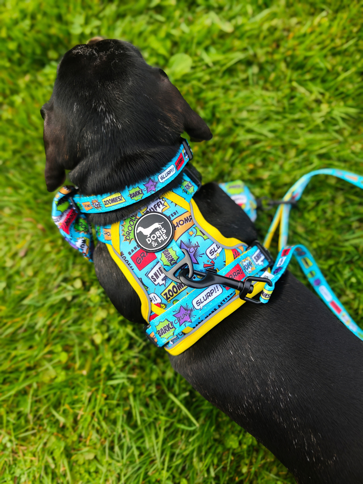 Bark Attack! - Tough Tails No Pull Dog Harness