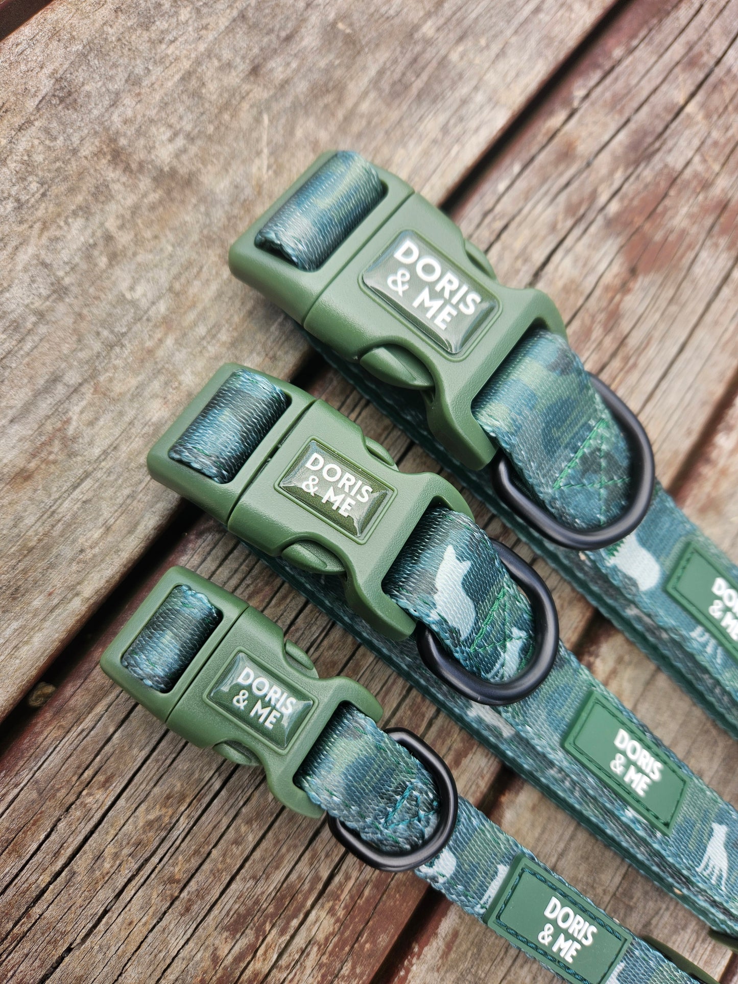 Hunting & Sniffing - Dog Collar