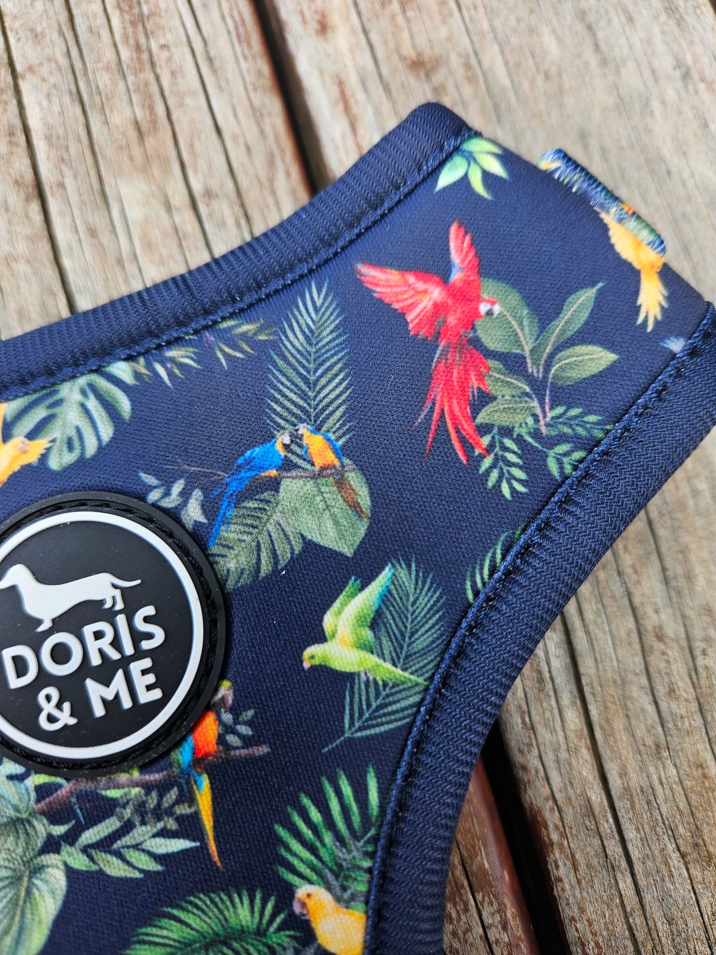 A-Parrotly so- Adjustable Dog Harness