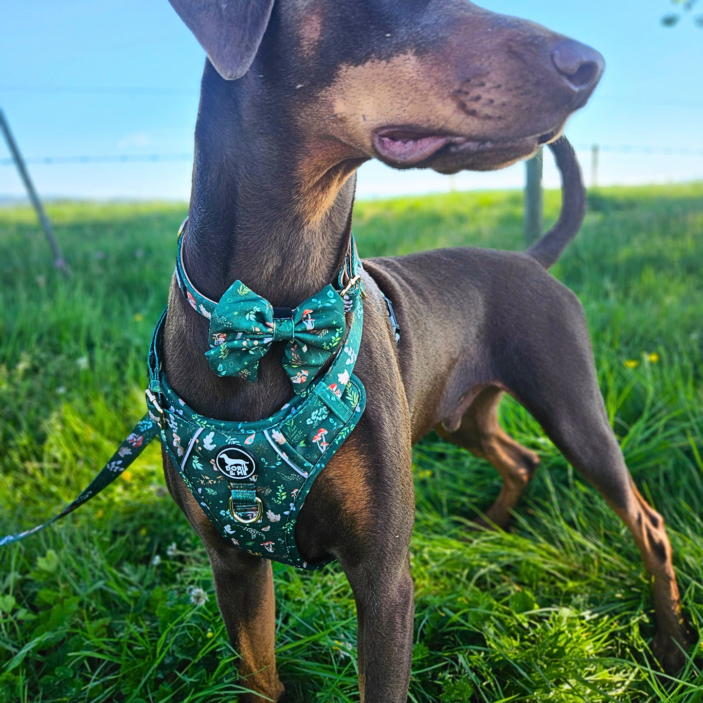 Shroomies & Zoomies- Sailor Bow Tie