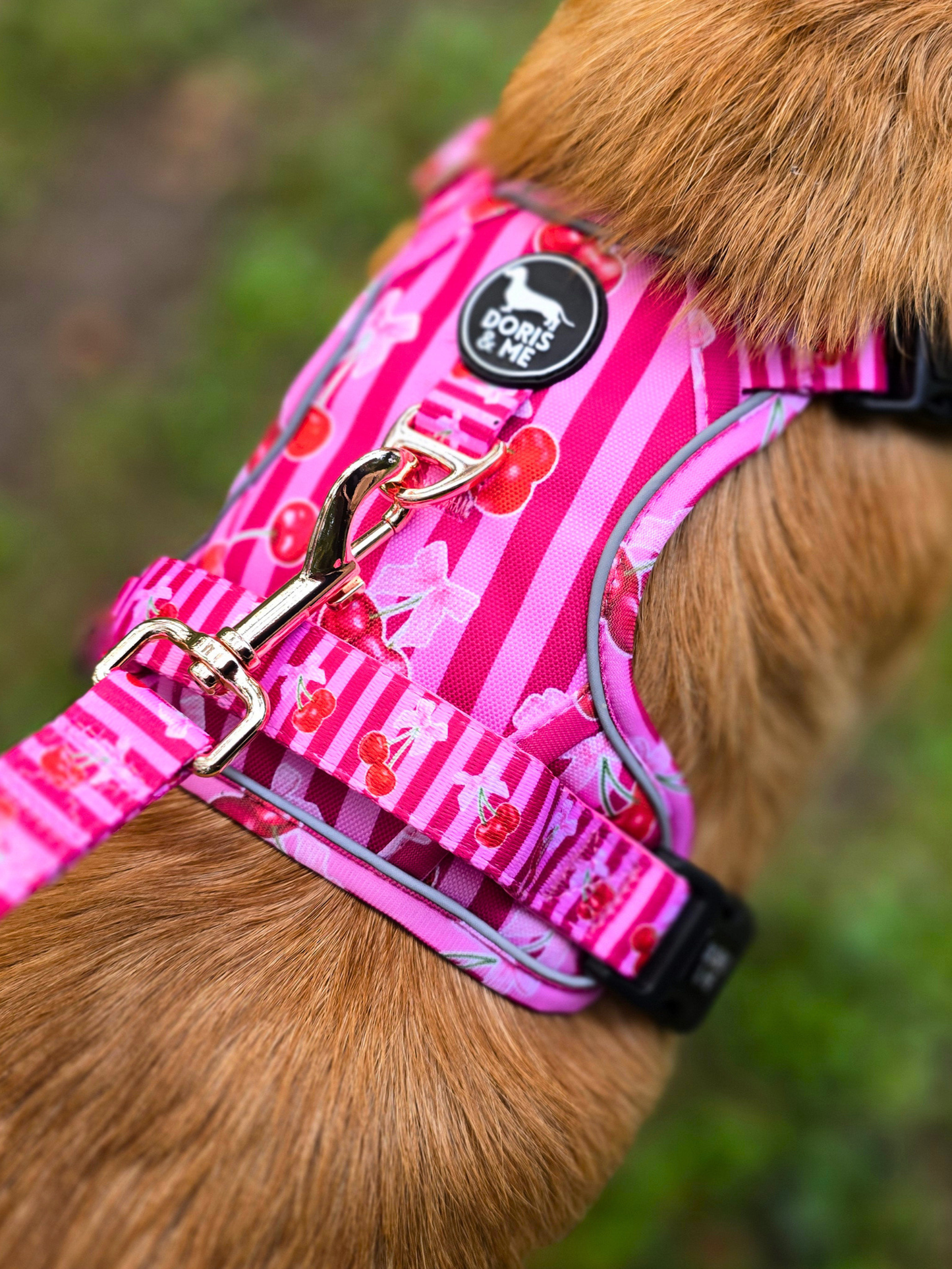 Thank you Cherry much! - Tough Tails No Pull Dog Harness