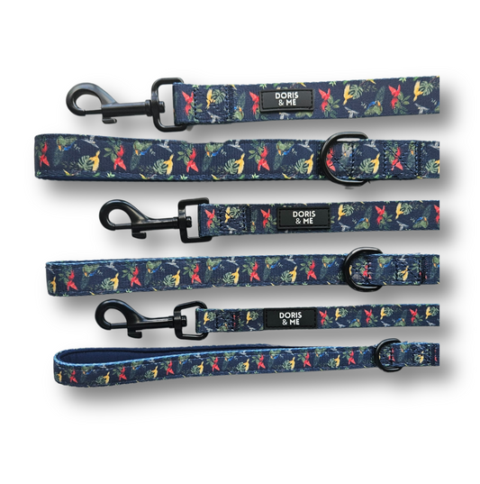 A-Parrotly so - Dog Leash