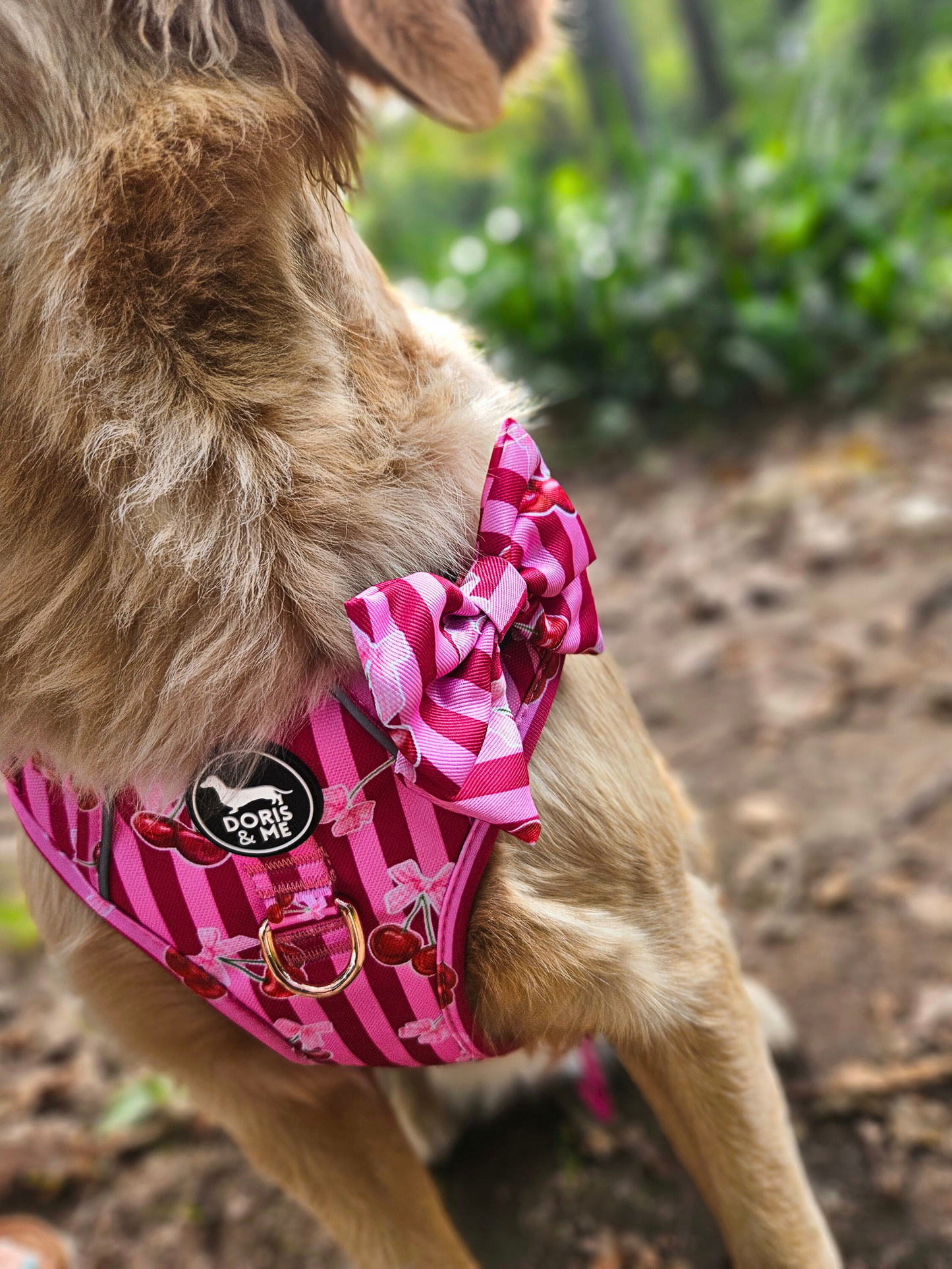 Thank you Cherry much! - Sailor Bow Tie