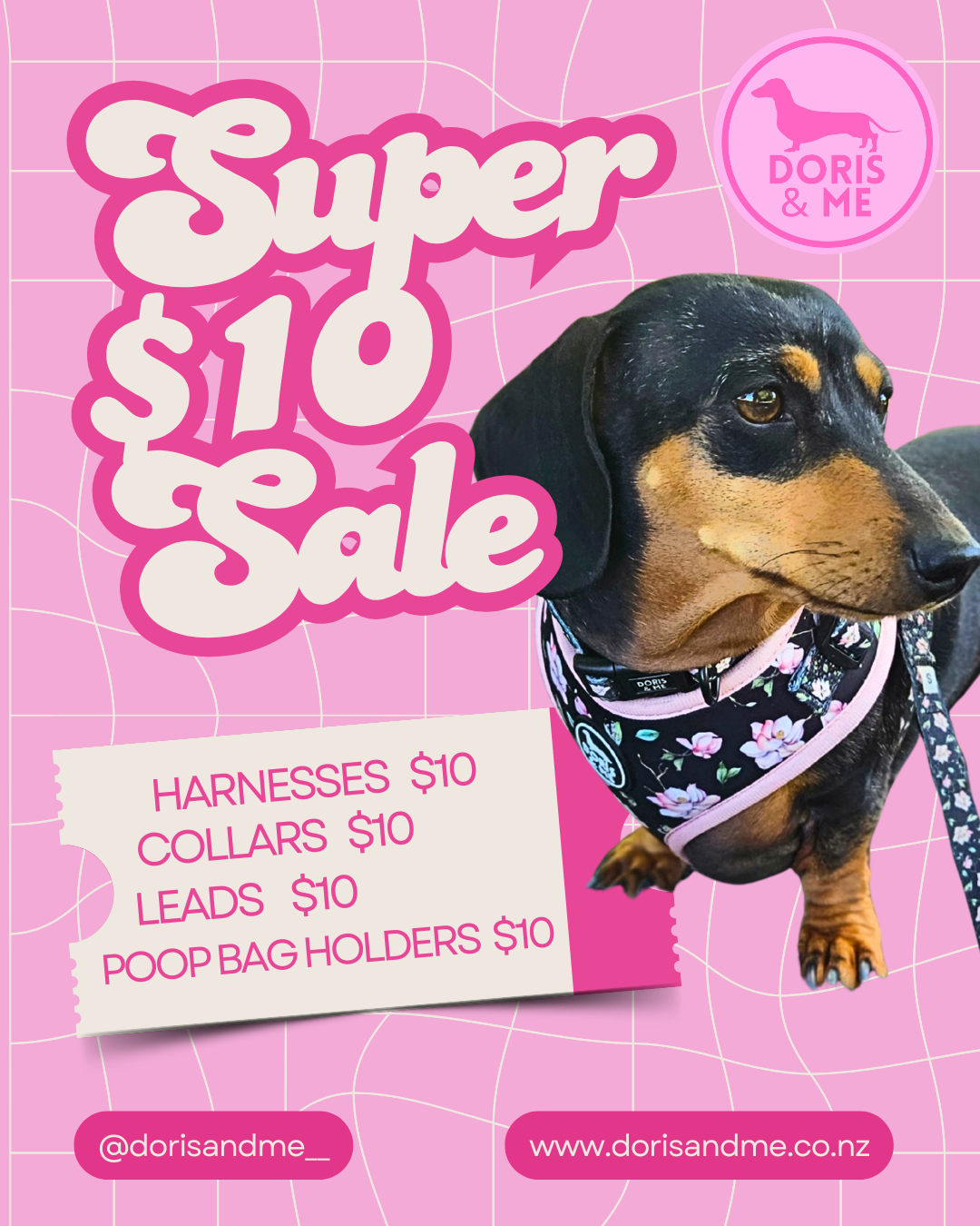 Dog wearing a floral harness on a pink background with 'Super $10 Sale' text and Doris & Me branding.