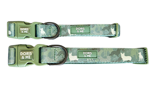 Hunting & Sniffing - Dog Collar