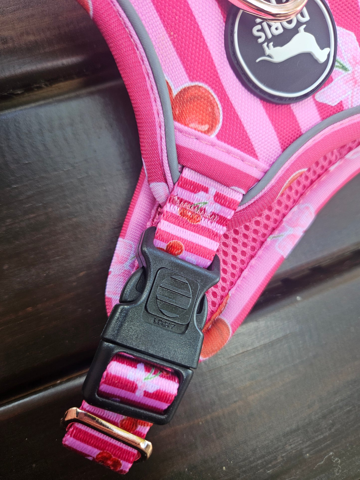 Thank you Cherry much! - Tough Tails No Pull Dog Harness