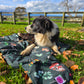 Paws & Go Travel Mat- Shroomies & Zoomies