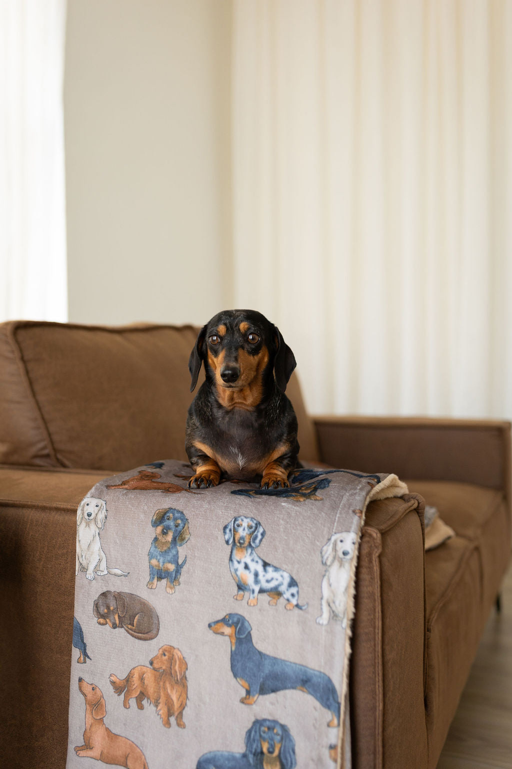Large Throw Blanket- Dachshund