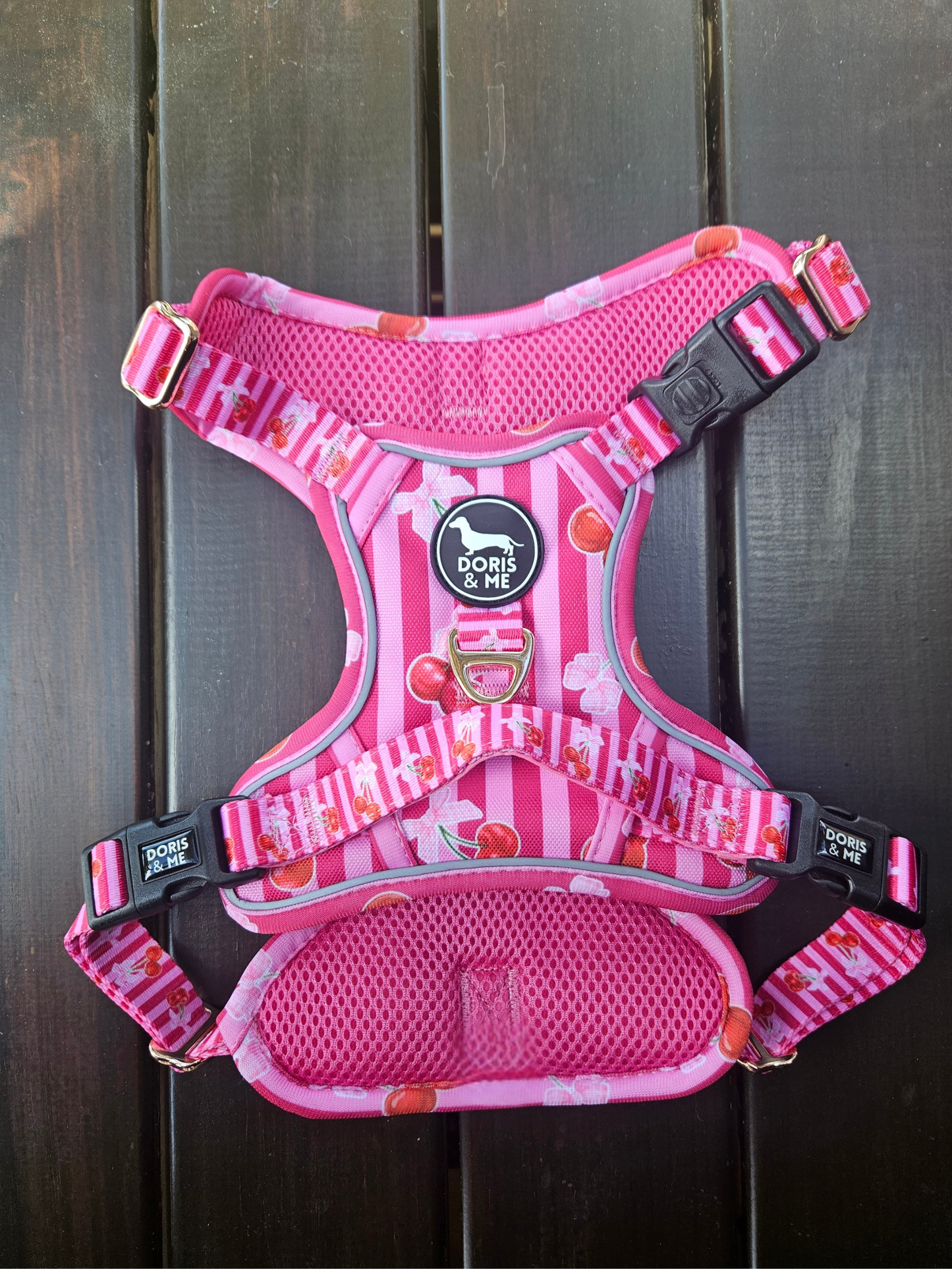 Thank you Cherry much! - Tough Tails No Pull Dog Harness