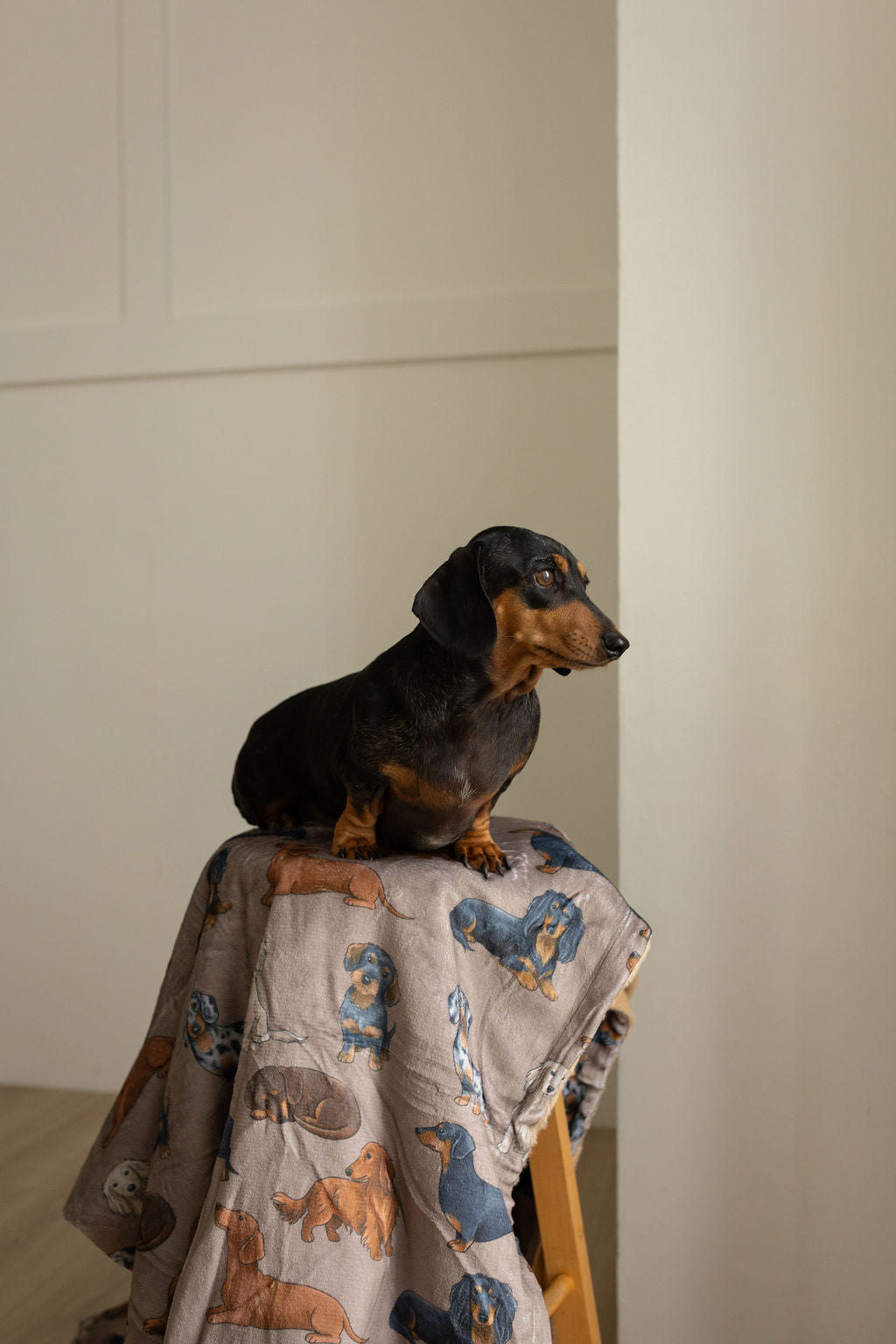 Large Throw Blanket- Dachshund