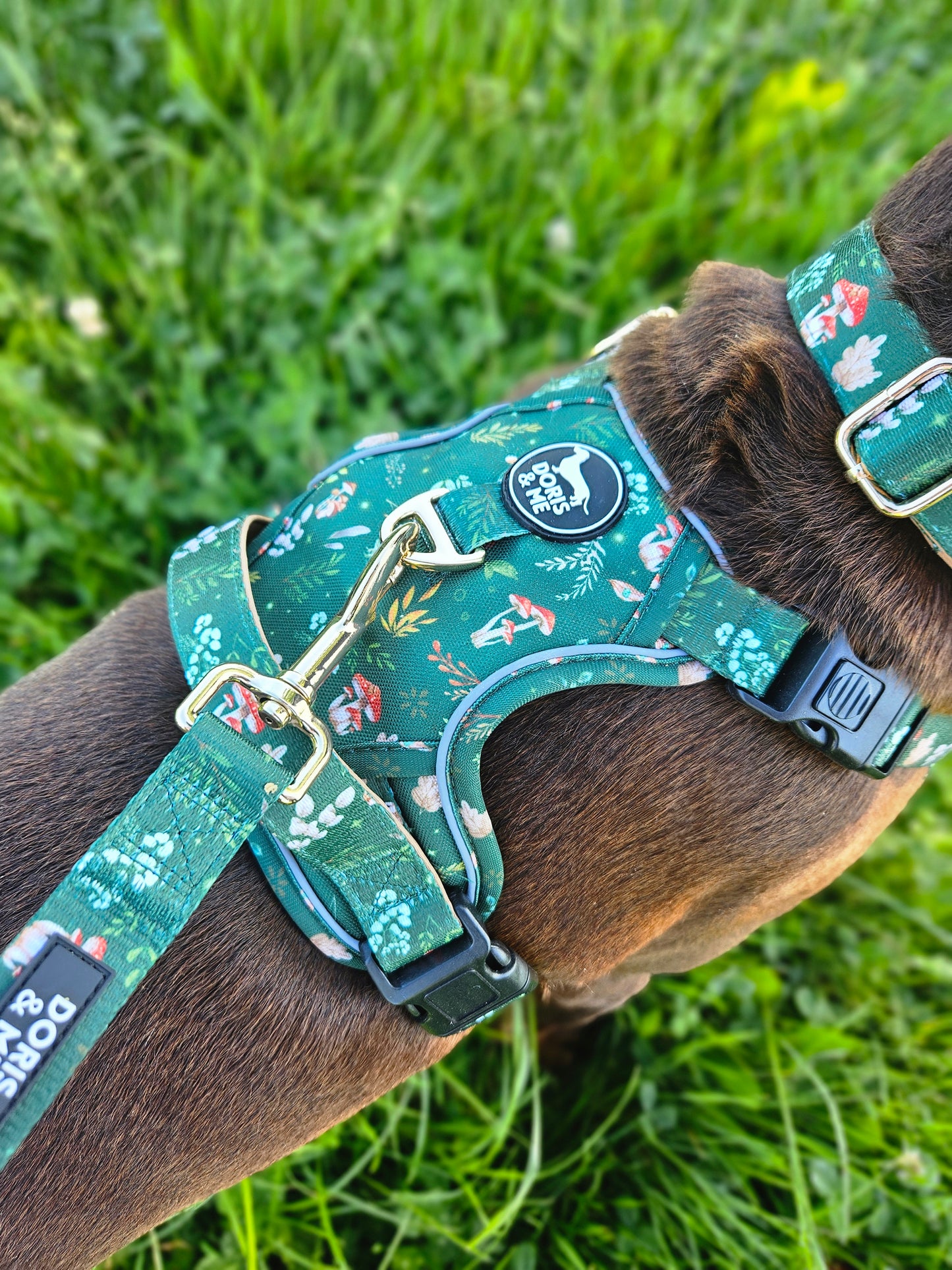 Shroomies & Zoomies- Tough Tails Harness