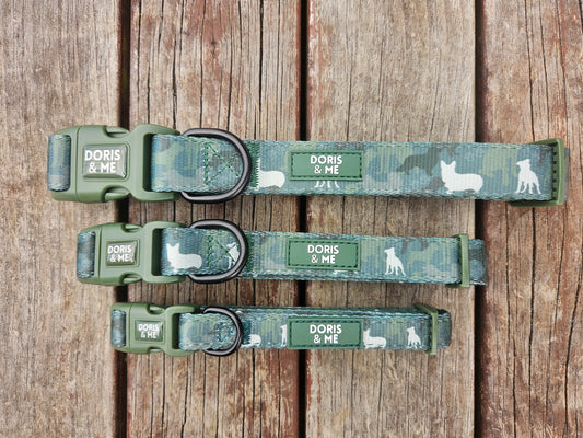Hunting & Sniffing - Dog Collar