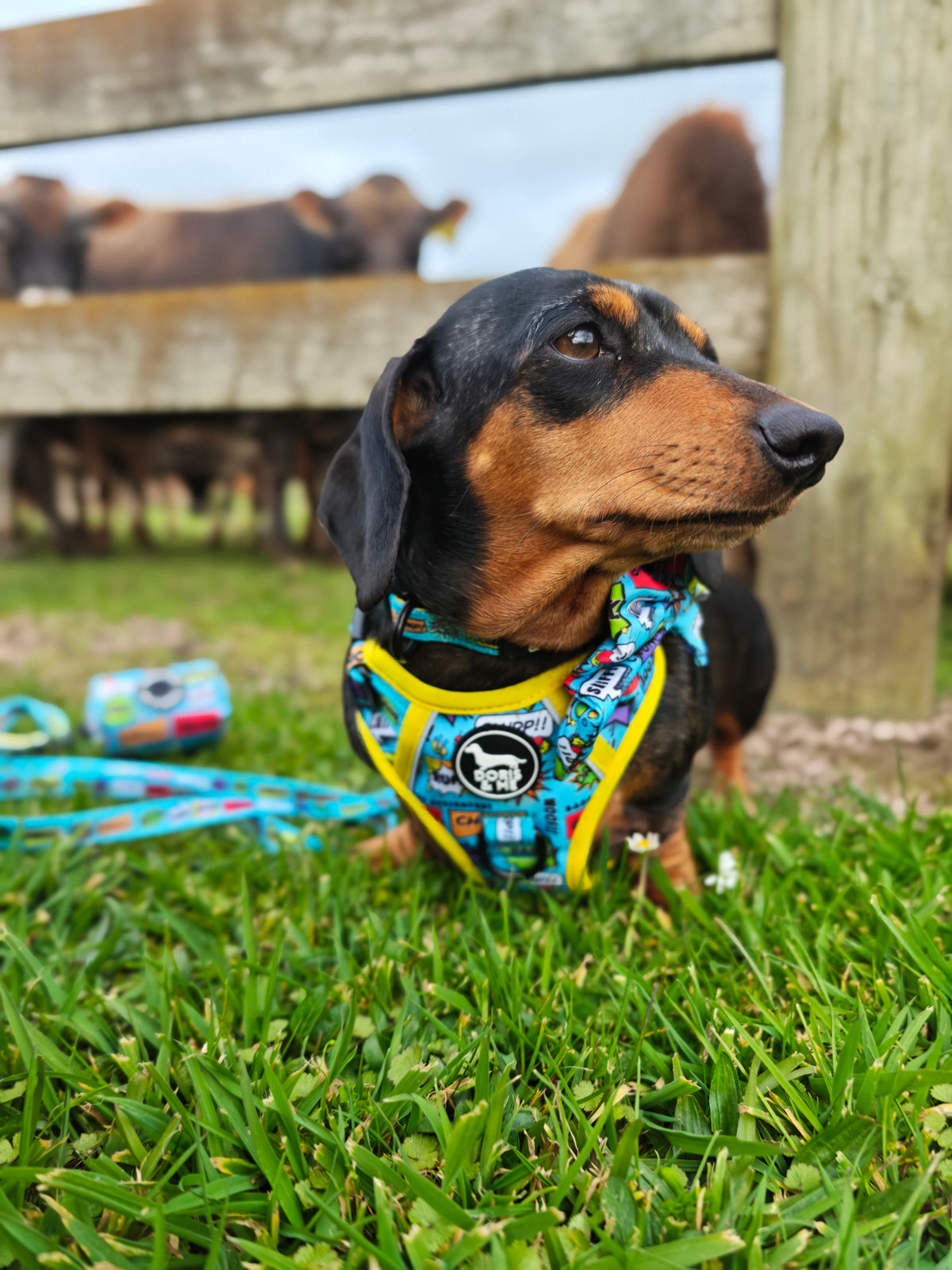Bark Attack! - Tough Tails No Pull Dog Harness