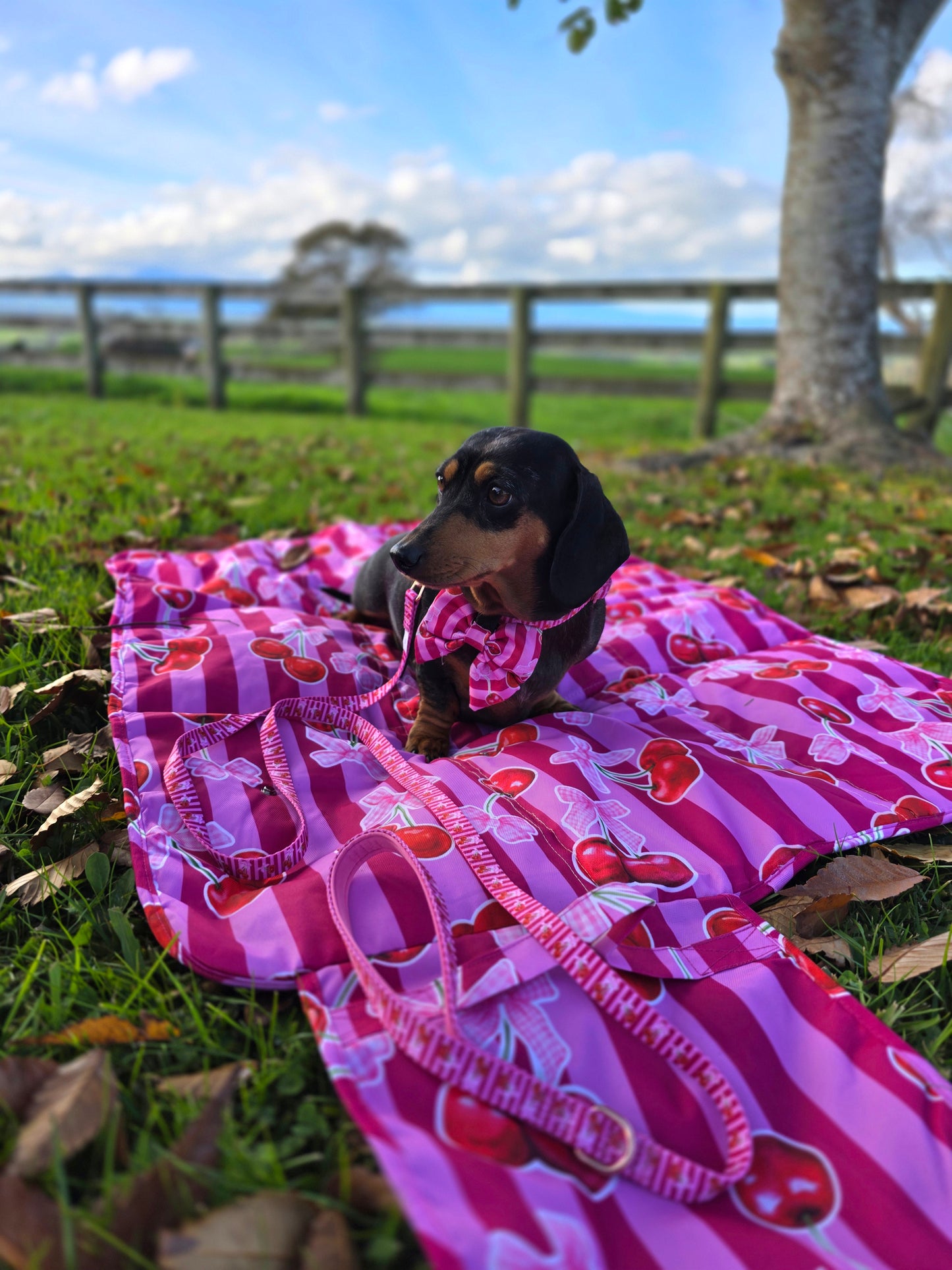 Paws & Go Travel Mat- Thank you Cherry much