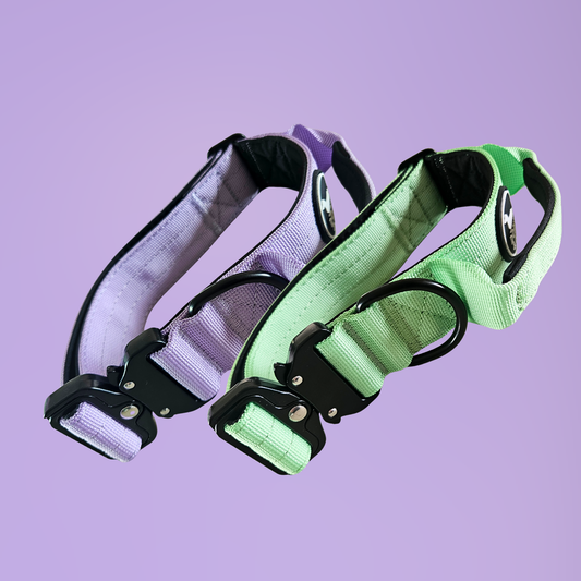 Heavy Duty Tactical Style 3.8cm Collar