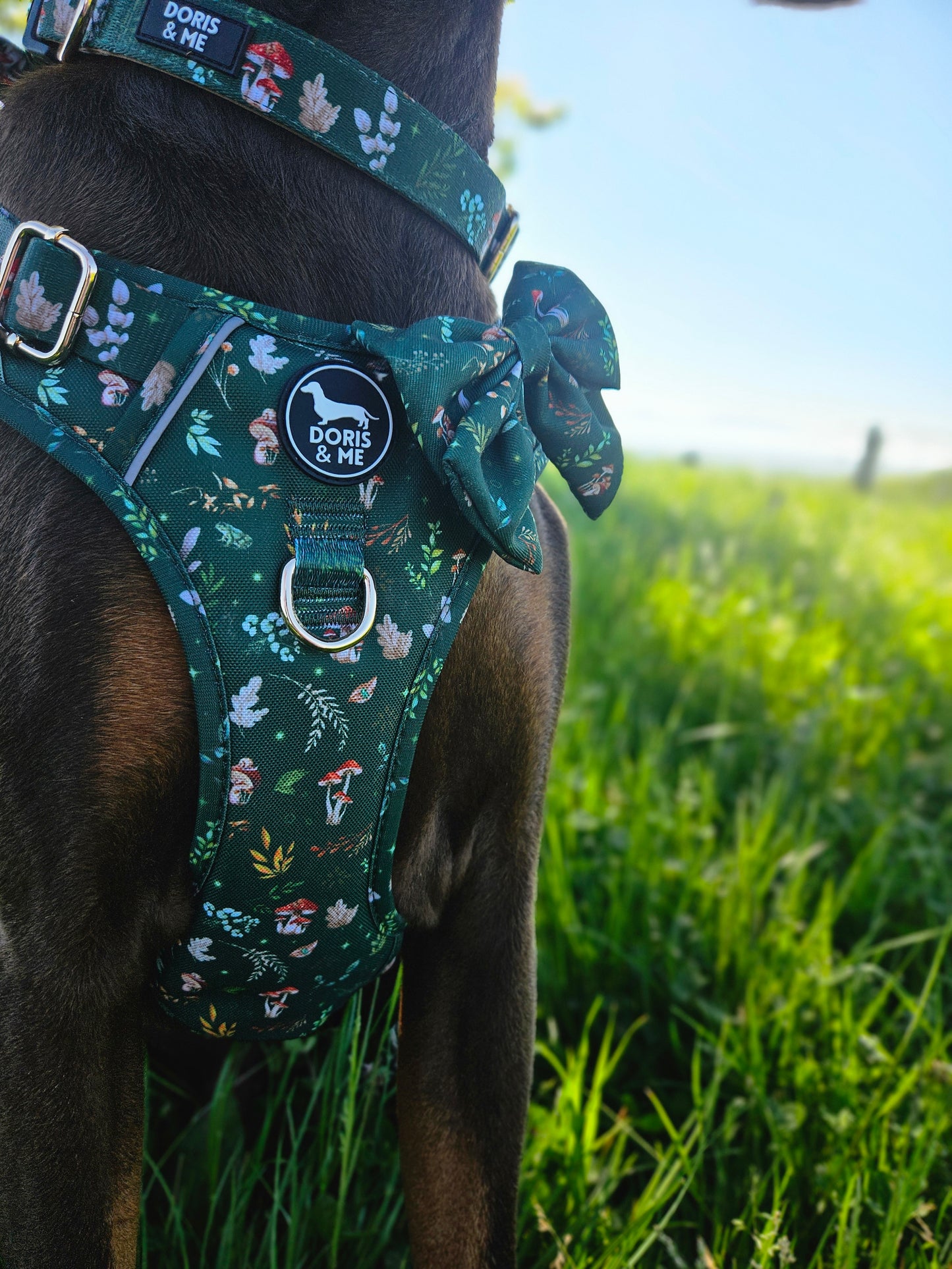 Shroomies & Zoomies- Tough Tails Harness