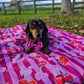 Paws & Go Travel Mat- Thank you Cherry much