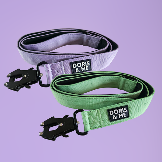 Heavy Duty Tactical Style Leash Mint & Lilac