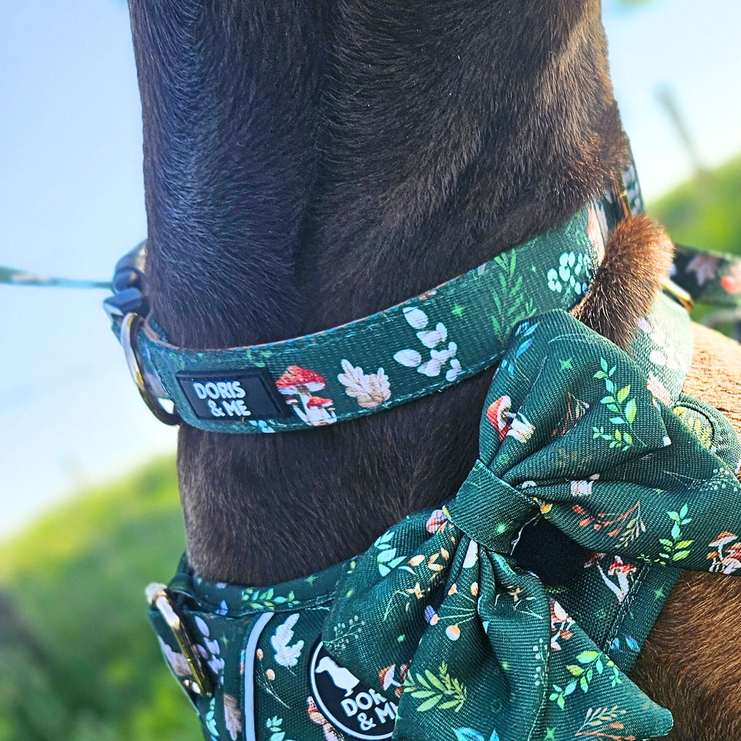 Shroomies & Zoomies- Dog Collar