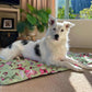 Paws & Go Travel Mat- Western