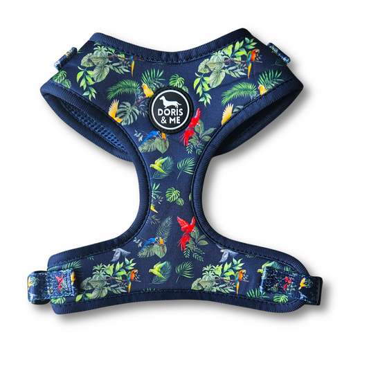 A-Parrotly so- Adjustable Dog Harness